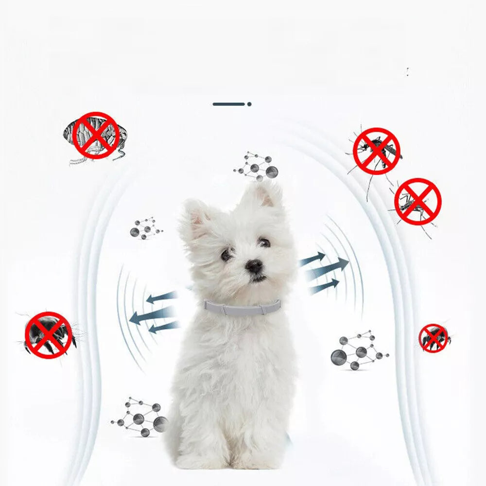 8+ Months Pet Bug Repellent Collar