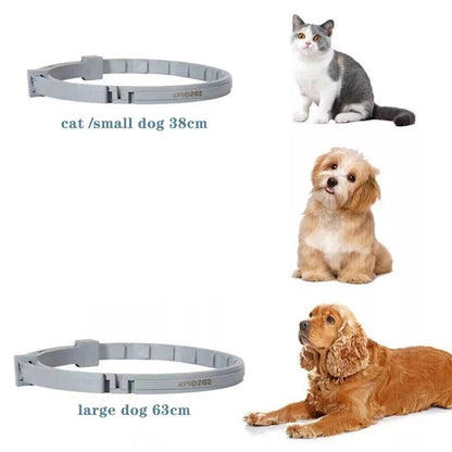 8+ Months Pet Bug Repellent Collar
