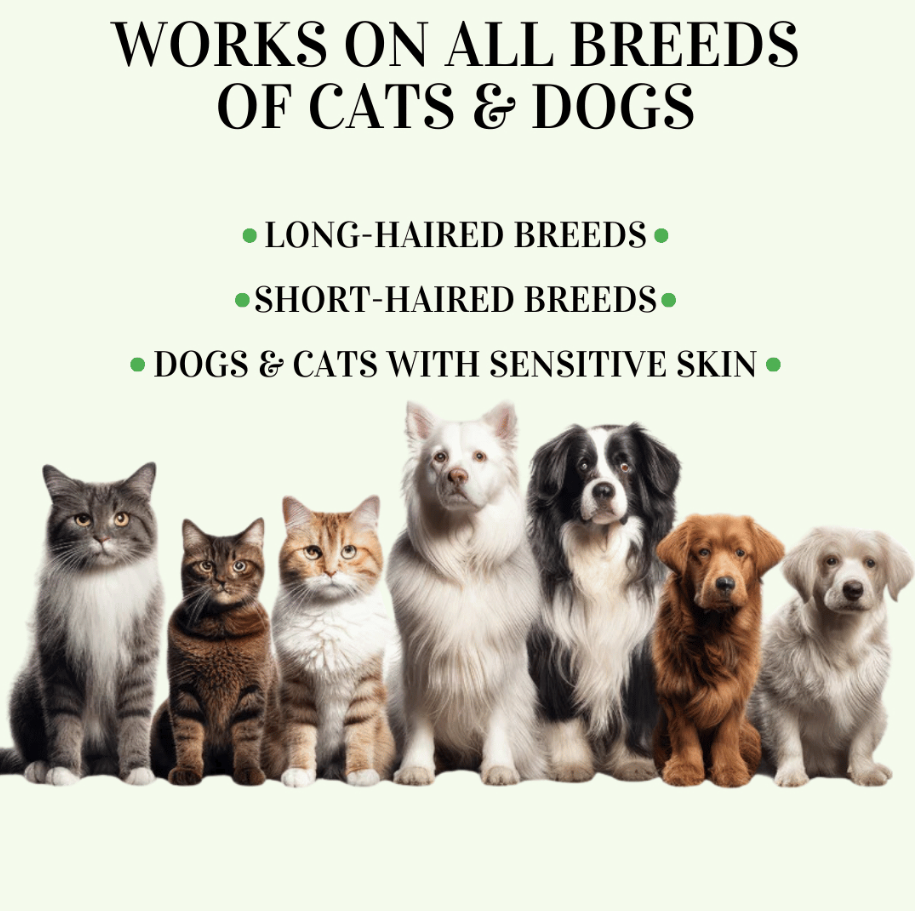 8+ Months Pet Bug Repellent Collar