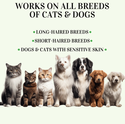 8+ Months Pet Bug Repellent Collar