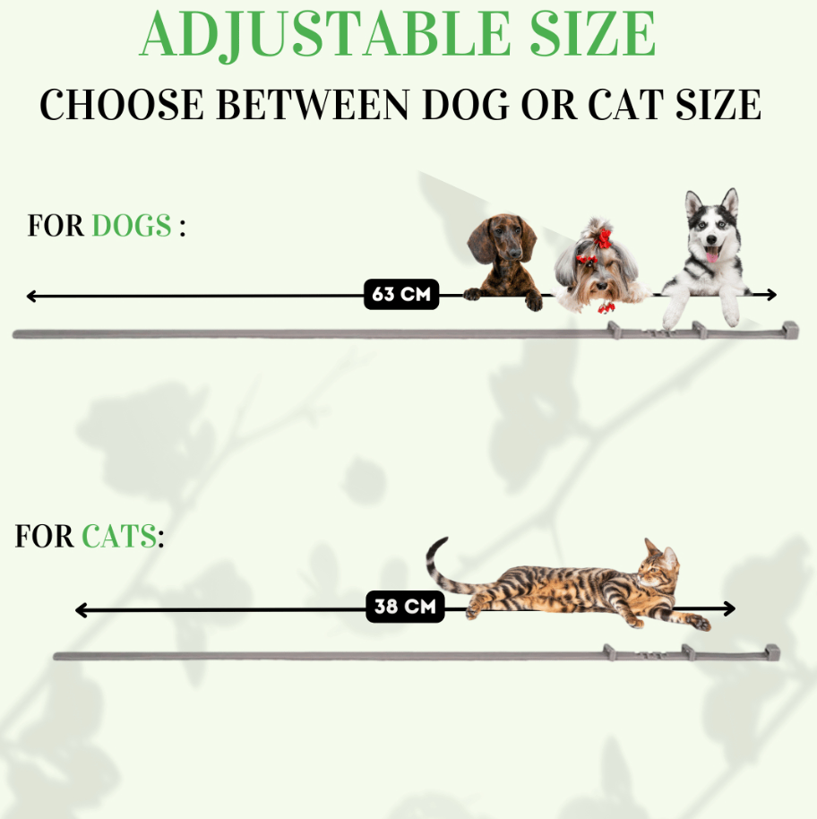 8+ Months Pet Bug Repellent Collar