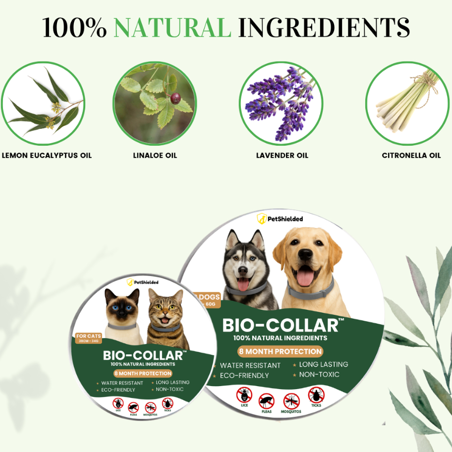 8+ Months Pet Bug Repellent Collar