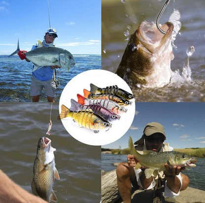 🐟Auto-Motion Fishing Lure (5-Pack)